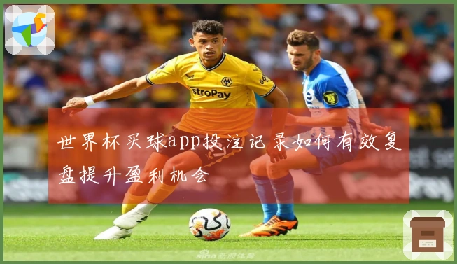 世界杯买球app投注记录如何有效复盘提升盈利机会