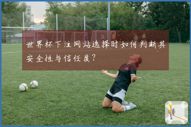 世界杯下注网站选择时如何判断其安全性与信任度？